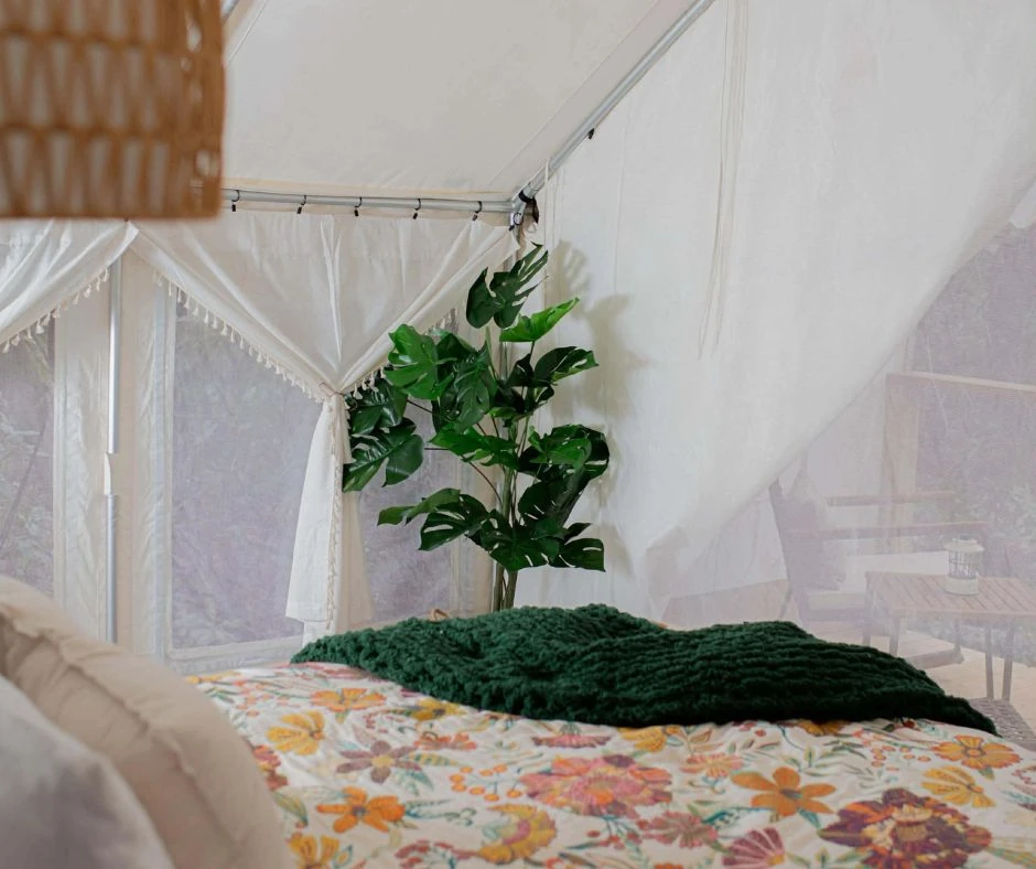 Canopy floral bed — Outside Inn Campground, Santee SC