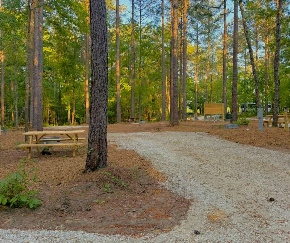 RV back in site — Outside Inn Campground, Santee SC