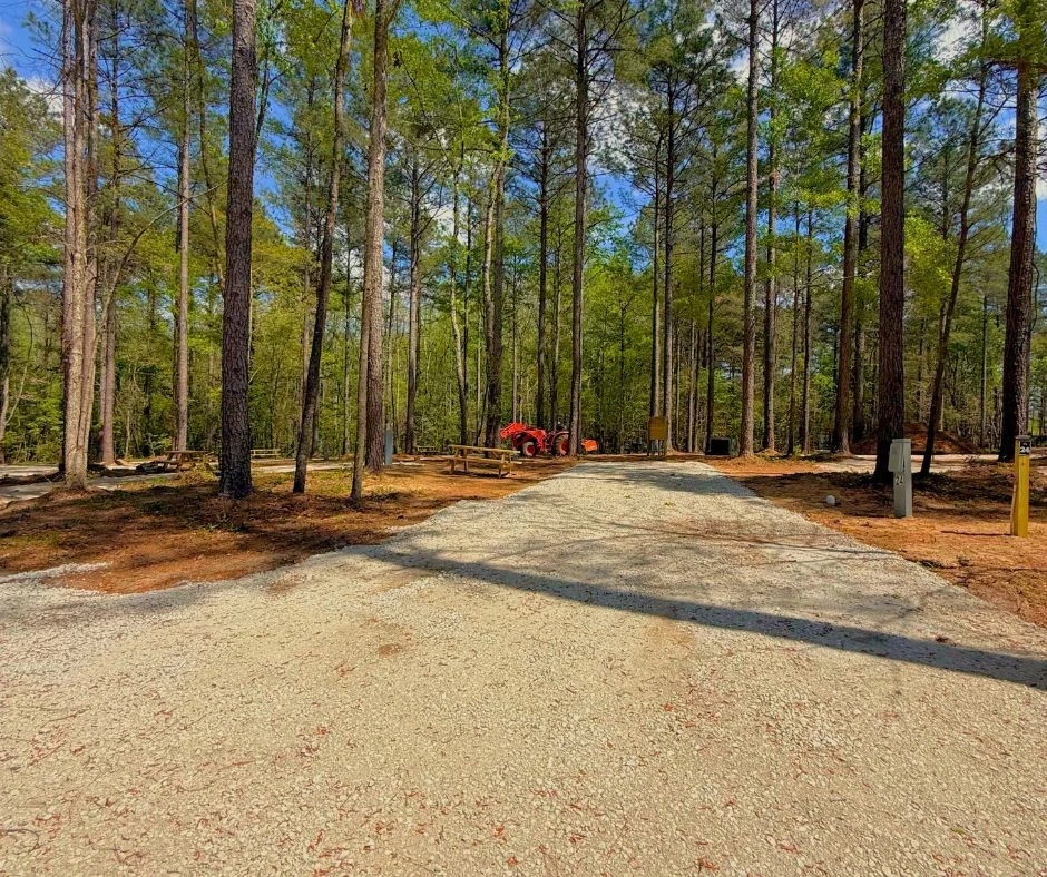 RV camping site among tall pine trees at Outside Inn