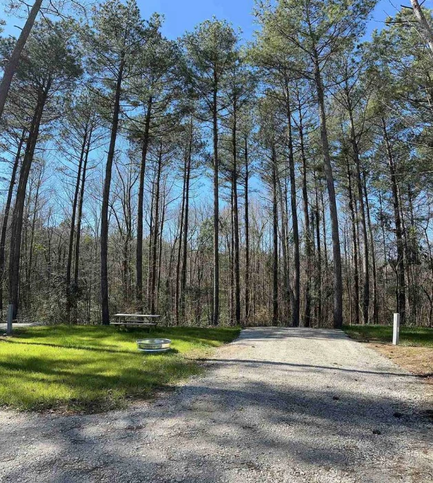 RV pull through pines — Outside Inn Campground, Santee SC
